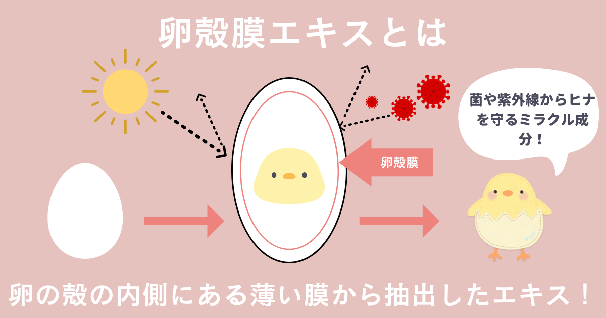 卵殻膜エキスとは