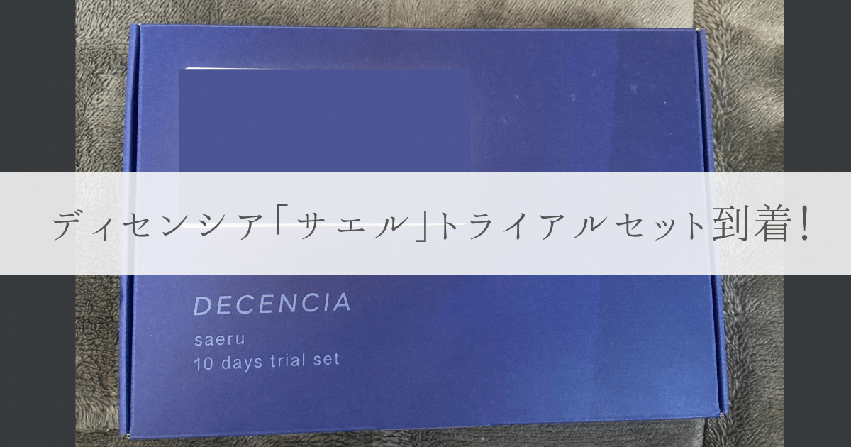 ディセンシア「サエル」到着