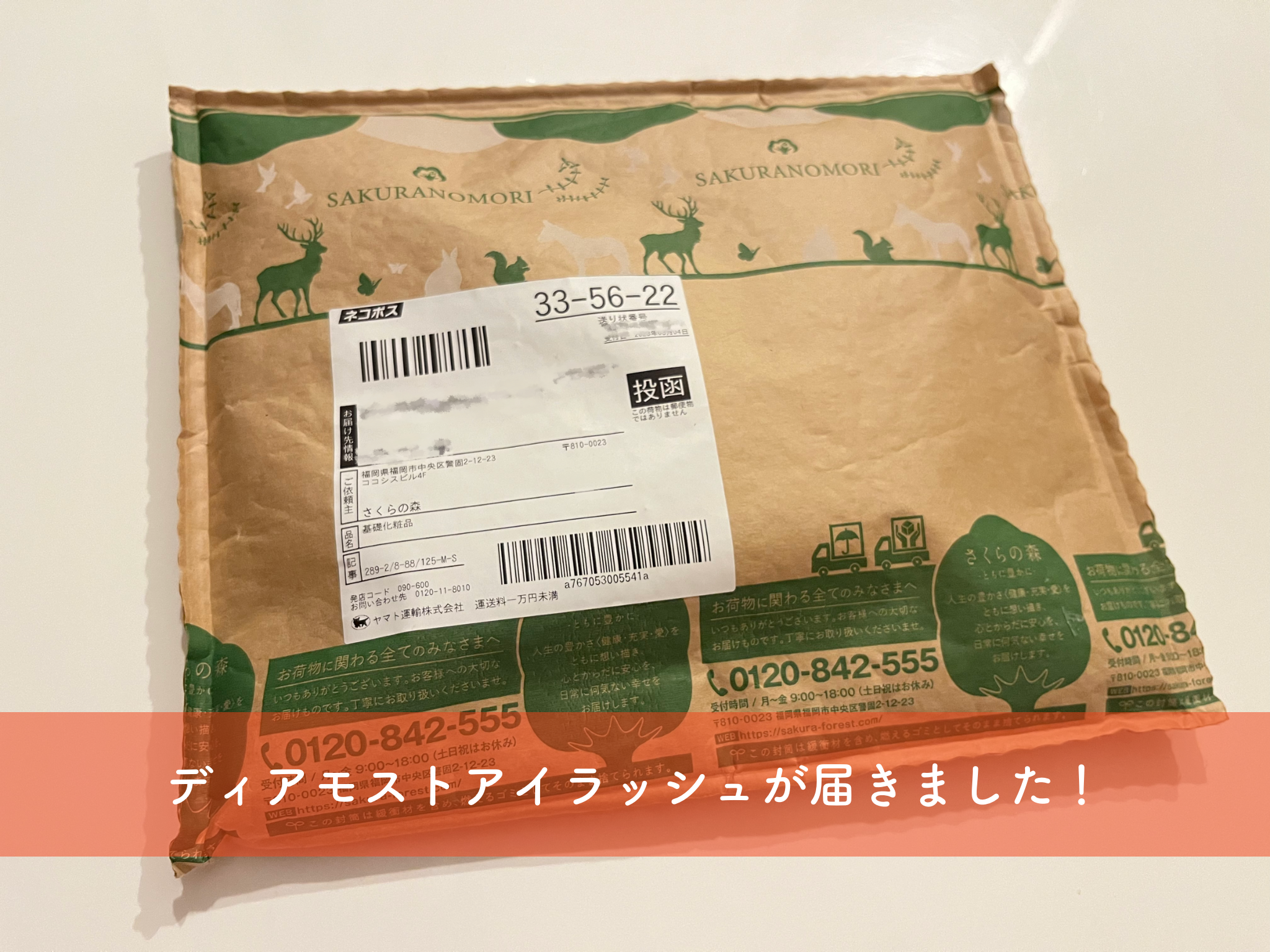 ディアモストが届きました